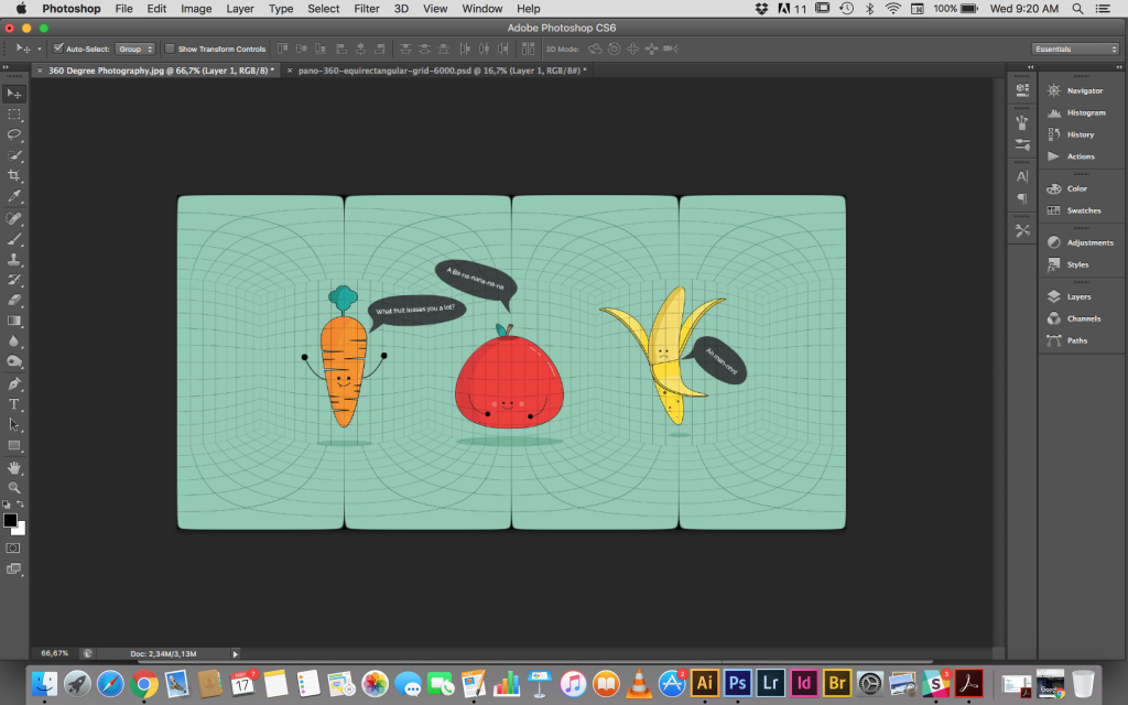 Screen Shot 2017-05-17 at 9.20.50 AM